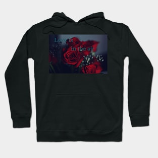 Love is in the air Hoodie